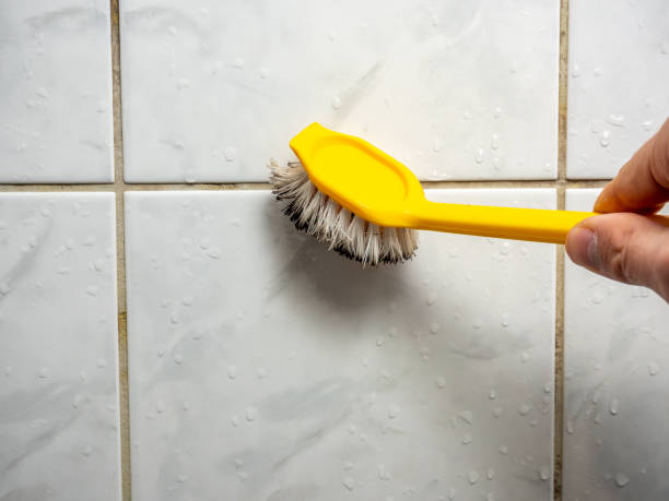 Afton, MN Mold Remediation Company