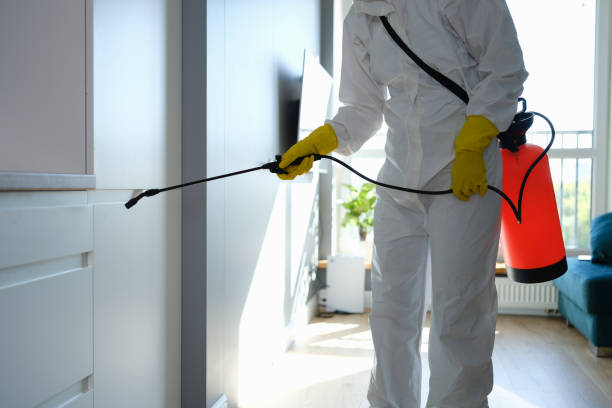 Best Mold Remediation for Specific Building Types in Afton, MN